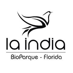 La India es vida