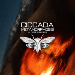 Ciccada Metamorphosis 003 by Fran Fernandez