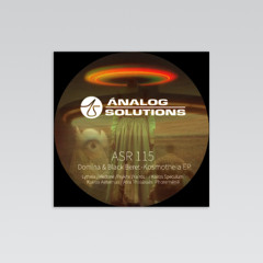 #044 PREMIERE: Domina & Black Beret - Kairos Speculum (Original Mix)[Analog solutions]