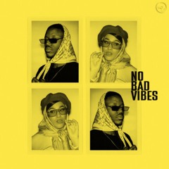 No Bad Vibes (Robert Dani Remix)