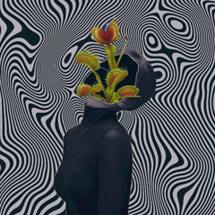 melt