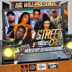 BIG WILL PRESENTS STREET CRED VOL 25 (RADIO MIX) 01 - 03 - 22