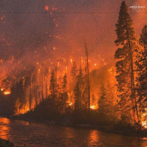 Wildfire