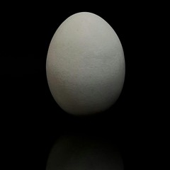 All Sonic Scientist tracks