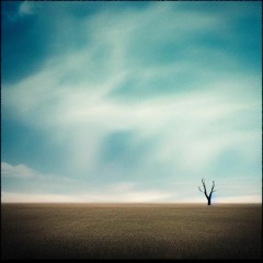 Far Out