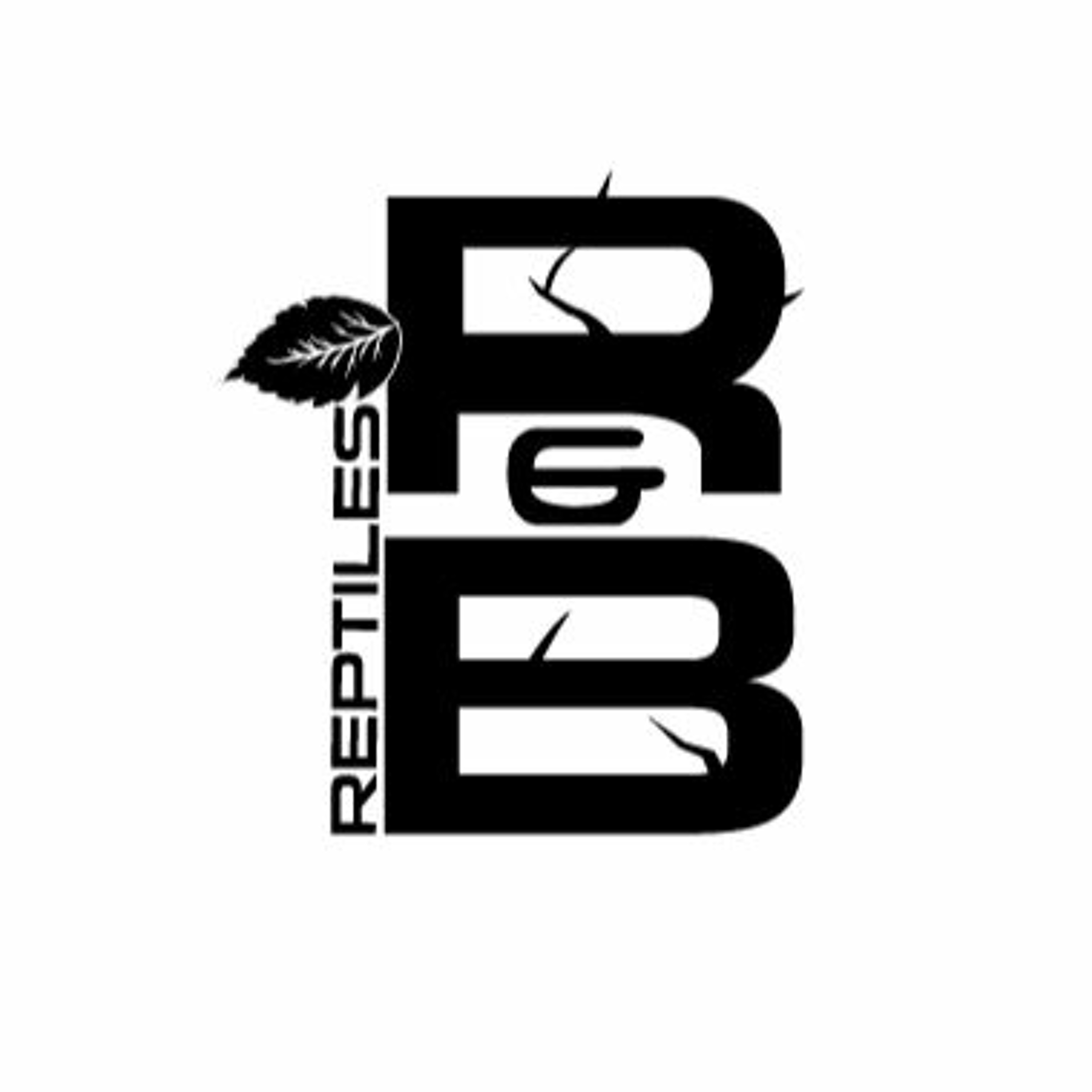 Modern Medusa Reptile Podcast - Where we talk everything cold-blooded (Snake Podcast)