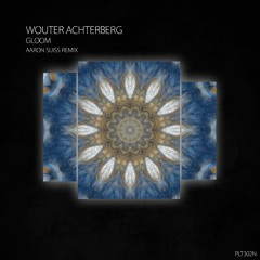 Premiere: Wouter Achterberg - Gloom (Aaron Suiss Remix) [Polyptych Noir]
