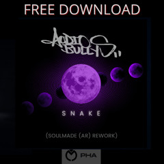 FREE DOWNLOAD: Audio Bullys - Snake (Soulmade (AR) Rework)