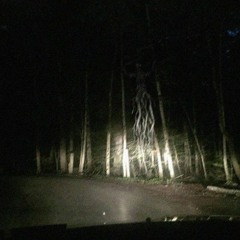 SACRIFICIALSANCTUM (PROD. DUOFACIES)