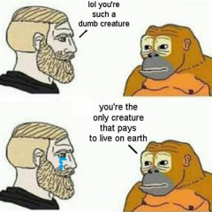 ALEX IS A BITCH (official diss)