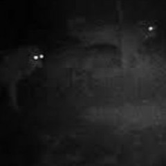 i can't feel my eyes move (1nico)