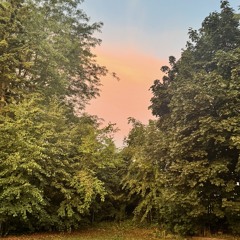 see the sun