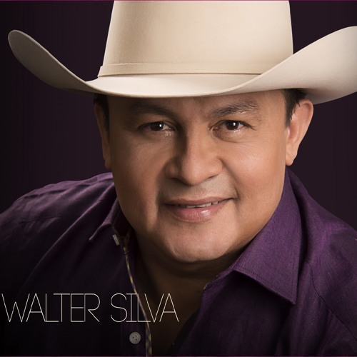 Stream La Clave para Olvidar by Walter Silva Listen online for free
