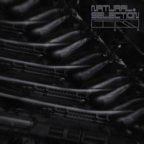 Swarm Intelligence – Radiance EP [Natural Selection]