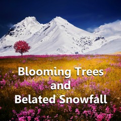 Blooming Trees And Belated Snowfall