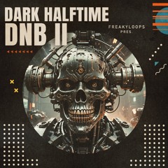FL263 - Dark Half Time DnB Vol 2