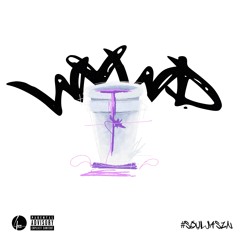 WYWD (Prod. Steelo Foreign & Platzus)