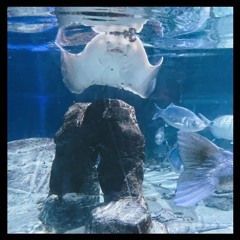 CloudRapShit 8