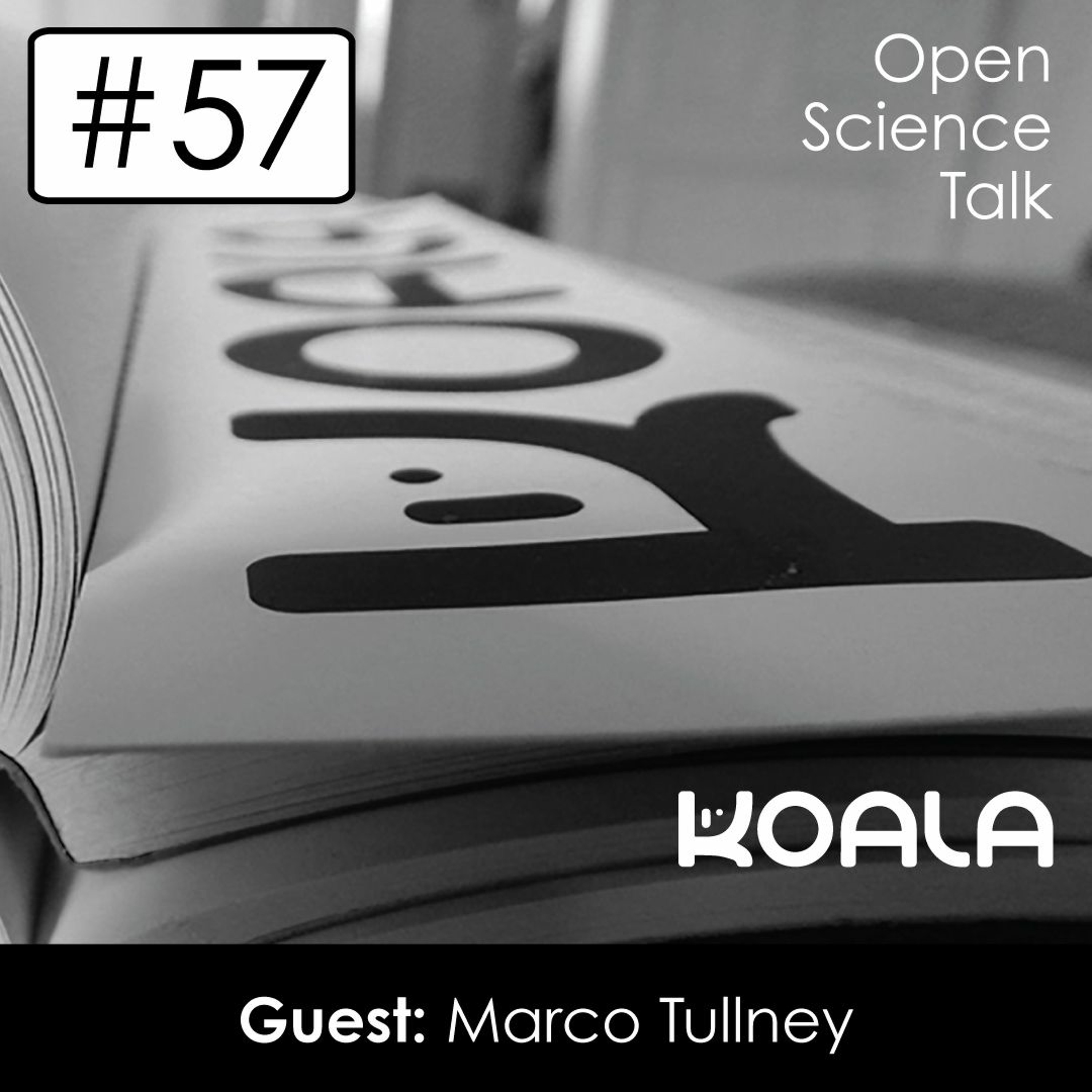 #57 KOALA – Building Support for Diamond Open Access