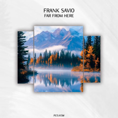 Frank Savio - Labyrinth