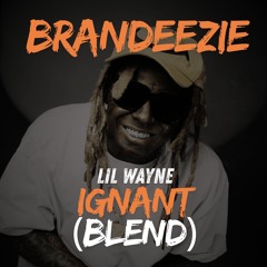 Lil Wayne - Ignant Shyt(Blend)