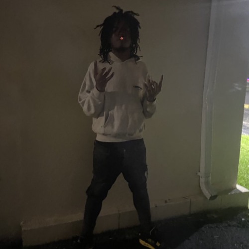 racks in (chaosysl)