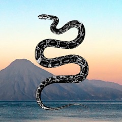Snake at the Lake