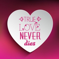 Podge- True Love Never Dies (WIP) makina