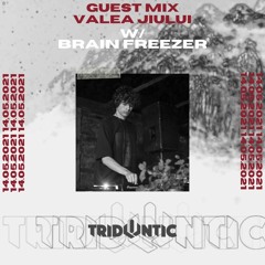 Brain Freezer - GuestMix Valea Jiului