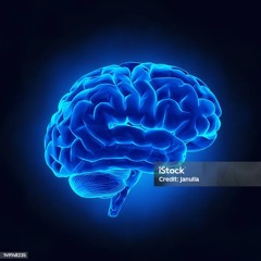 Mindset