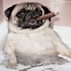 HUSTLEADDICTED p youngslash