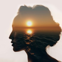 Narcissist Patterning Release Transmission: Moving Beyond Draining Low-Frequency Relationships.