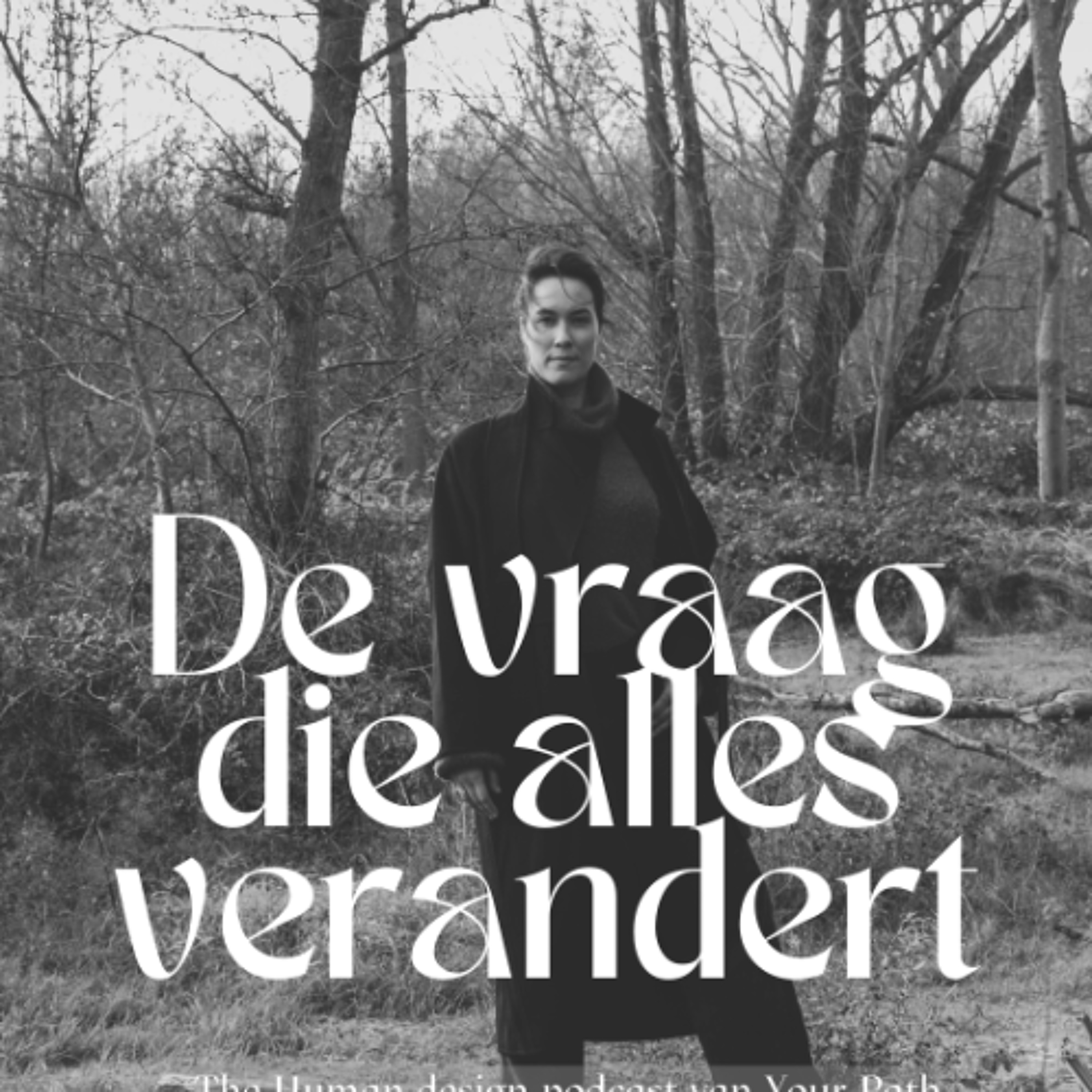 #52 De vraag die alles verandert episode artwork