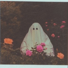 ghost among the roses