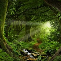 Killas In The Jungle