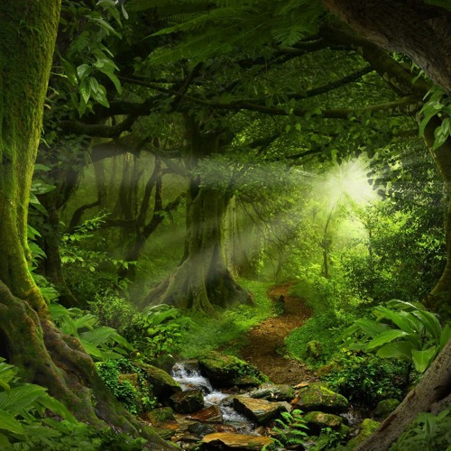 Killas In The Jungle