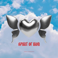 Spirt Of Iron