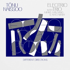 Tõnu Naissoo Electric Trio - Different Directions LP FRO011 A1 Blue Rider