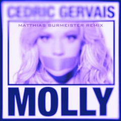 MATTHIAS BURMEISTER  - MOLLY REMIX (Buy Link To Free Download)