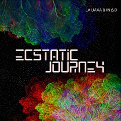 Ecstatic Journey