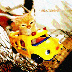 me when anthony green tells me to stop the f***** car