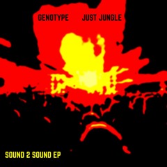 Just Jungle​/​Genotype - Sound 2 Sound EP - G Lab