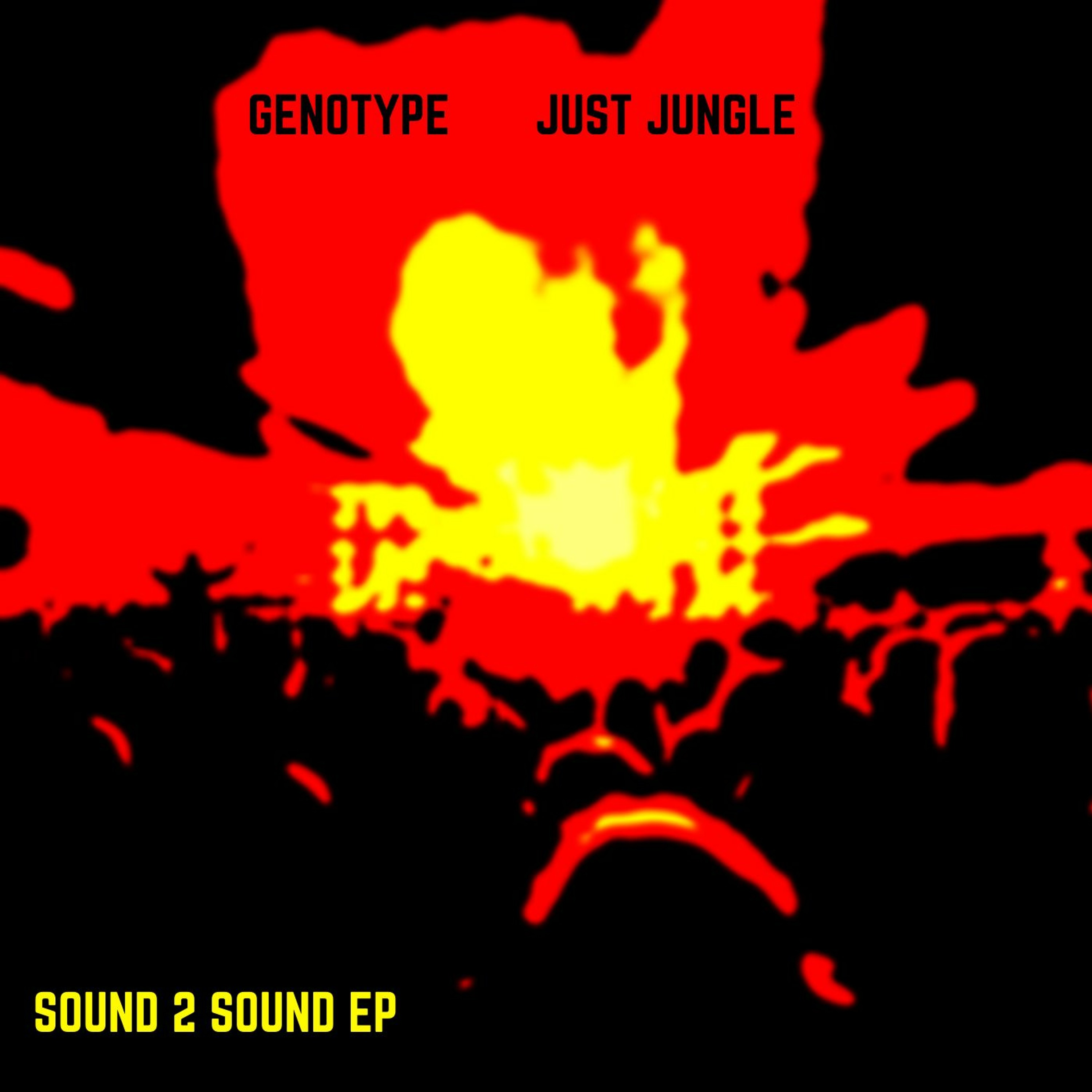 Just Jungle​/​Genotype - Sound 2 Sound EP - G Lab episode artwork
