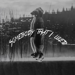 Somebody That I Liked - Velavox