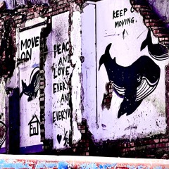 No Warnings – What's The Fight