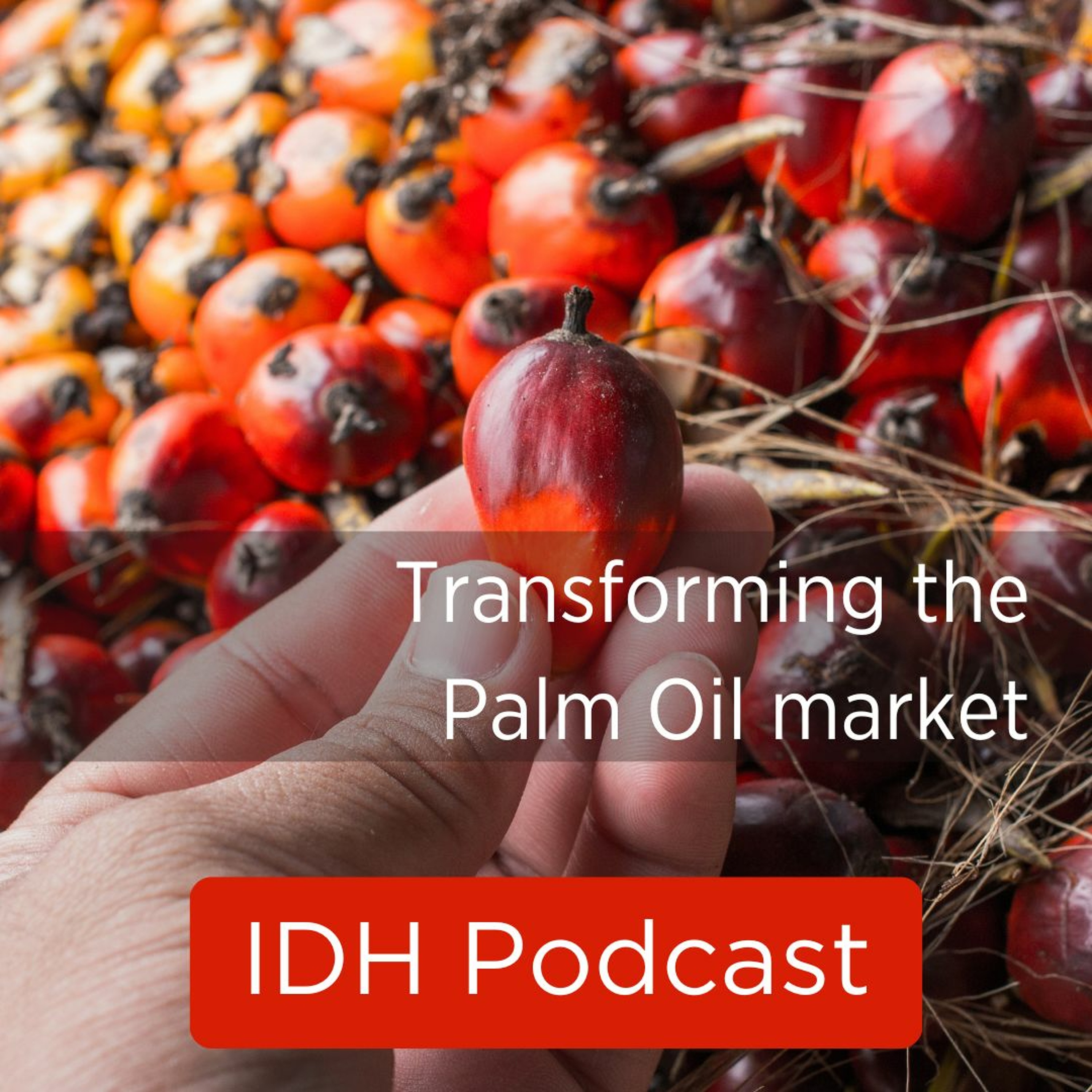 IDH Podcasts