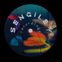 Premiere: Nicola Brusegan - Out Of Three (Soundub Remix) [Sengiley]