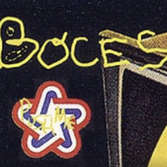 GO+ yer bocesteam