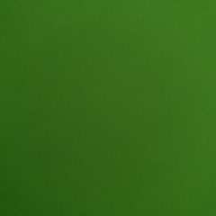 opaopa