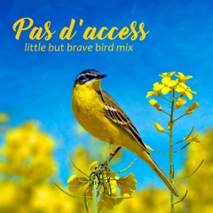 Mylene Farmer - Pas d'access (little but brave bird mix)